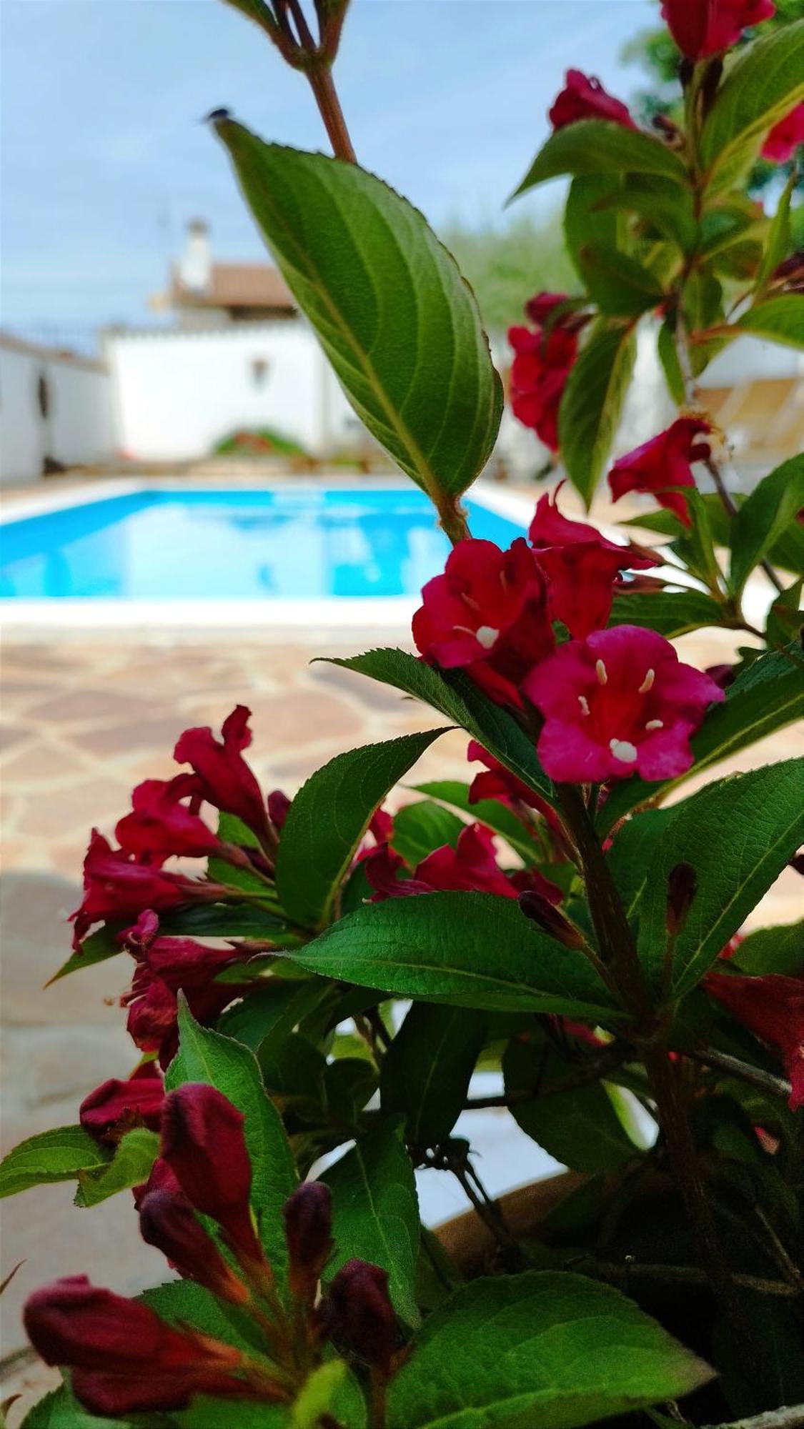 Villa "Pied-A-Terre" Residence & Spa อูมัค ภายนอก รูปภาพ